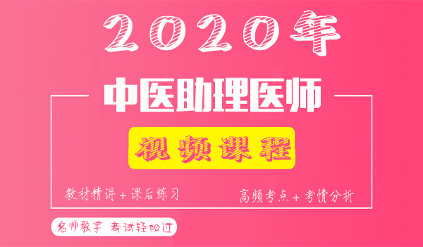 2020中医助理医师考试视频课程百度云网盘资源下载