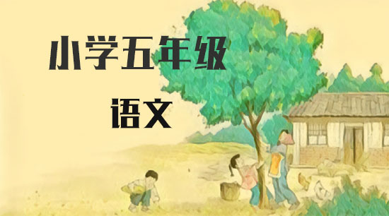 小学辅导视频课程:苏教版5年级语文满分班视频课程