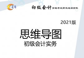 2021初级会计实务科目《晨阳笔记思维导图》电子