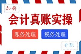 第四季度增值税申报实务-会计实操视频教程