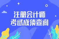 ​宁夏银川2020年注册会计师成绩查询时间