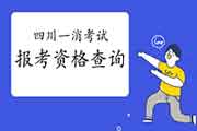 <b>2021年四川一级消防工程师考试报考资格查询</b>