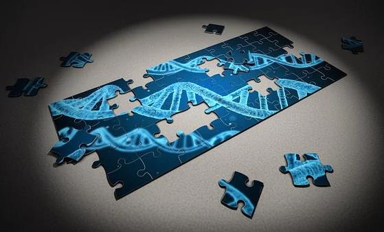 河北初级护师报名时间2022