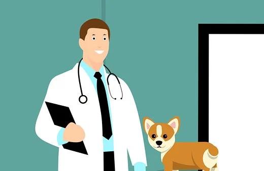 不同学历考生报考 全科主治医师考试有什么区别？
