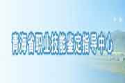 2018年11月青海人力资本管理师准考证领取时间和方法