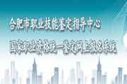 2020年安徽省合肥市人力资本管理师报名时间：7月16日-26日