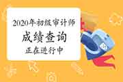 2020年初级审计师考试成绩查询正在进行中 2020年初级审计师考试成绩查询正在进行中
