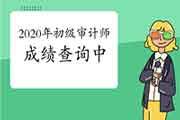 2020年初级审计师考试成绩查询中 2020年初级审计师考试成绩查询中