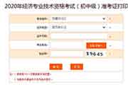 中国人事考试网2020年西藏中级经济师考试准考证打印入口已开通