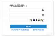 2020年新疆兵团高级经济师考试报名入口官网已开通