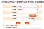 中国人事考试网2020年辽宁中级经济师考试准考证打印入口已开通
