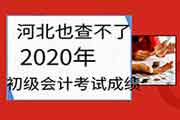 目前河北也查不了2020年初级会计职称考试成绩，是怎样回事?刚刚查到的算吗