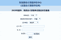 2020年新疆中级会计师报名状态查询入口