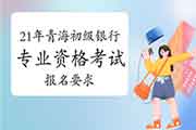 2021年轻海初级银行专业资格考试考试报名条件 2021年轻海初级银行专业资格考试考试报名条件