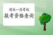 2021年湖北一级消防工程师考试报考资格查询 2021年湖北一级消防工程师考试报考资格查询