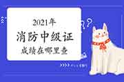 2021年消防中级证成绩在那里查？