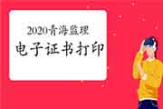 2020年轻海注册监理工程师考试电子证书打印入口