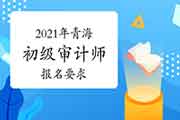 2021年青海初级审计师报名要求 2021年青海初级审计师报名要求