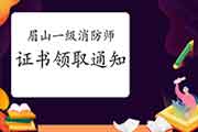2020年四川眉山一级消防工程师考试证书领取通告