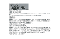 2019下半黑龙江教师资格考试幼儿综合素质真题试卷及答案解析