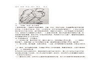 2019下半重庆教师资格考试初中美术学科知识与教学能力真题试卷及答案解析 2019下半重庆教师资格考试初中美术学科知识与教学能力真题试卷及答案解析