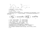 2016下半湖南教师资格证考试高中生物学科知识与教学能力真题试卷及答案解析