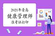 2021年轻岛健康管理师考试准考证打印时间