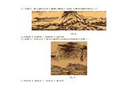 2015下半河北教师资格证考试中学教育知识与能力真题试卷及答案解析