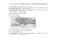 2016下半广东教师资格考试小学综合素质真题试卷及答案解析