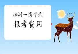 2021年湖南娄底一级消防工程师考试报名价格是多少? 2021年湖南娄底一级消防工程师考试报名价格是多少?