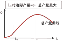 2021年中级经济师《经济基础》知识点及经典题：生产曲线