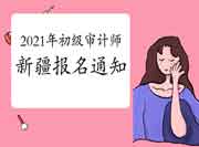 2021年新疆初级审计师报名考务通知 2021年新疆初级审计师报名考务通知