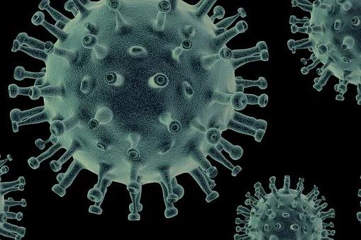 门静脉高压、肝硬化、肝性脑病考点汇总