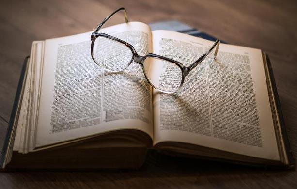 猫咪要生小猫了该做哪些准备