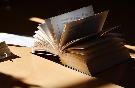 注册会计师审计与内部审计的关系